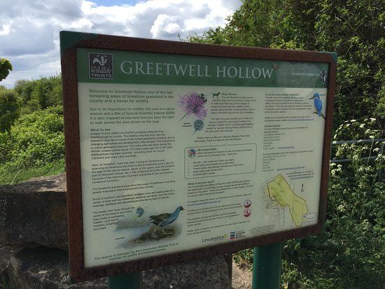Greetwell Hollow Nature Reserve