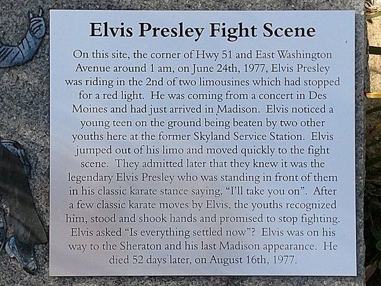 Elvis Fight Site Mini-Monument