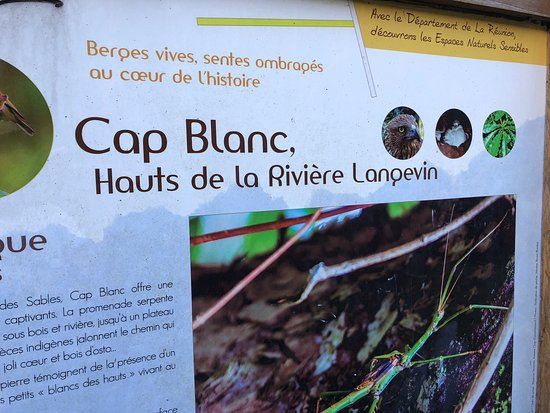 Foret de Bois Blanc