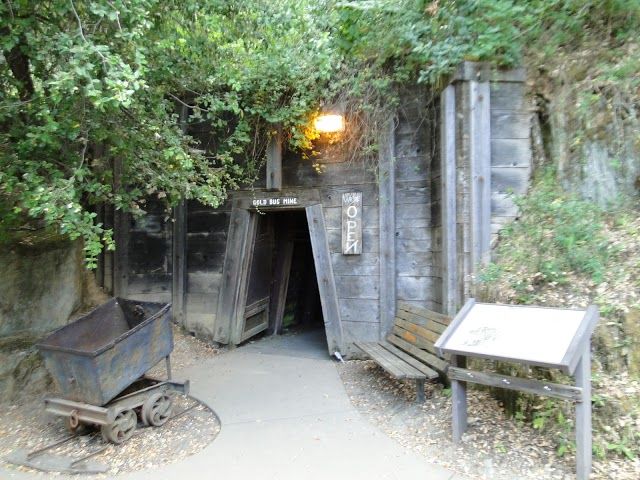 Gold Bug Park & Mine