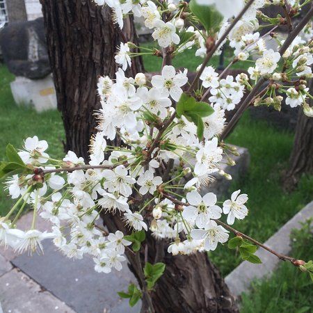 Kars Müzesi