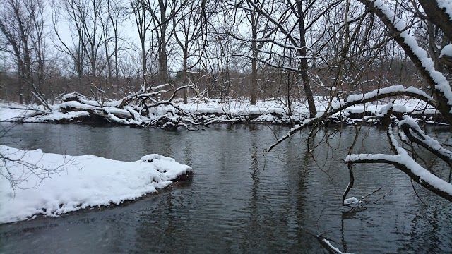 T.J. Dolan Natural Area
