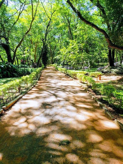 Parque de la Salud