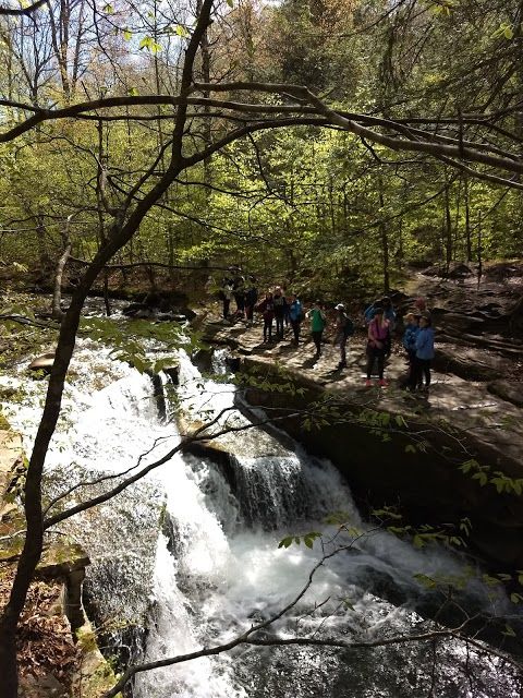 Big Indian Wilderness