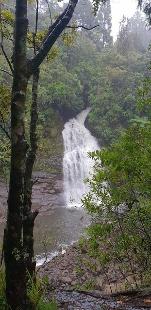 Waitakere Ranges Regional Park