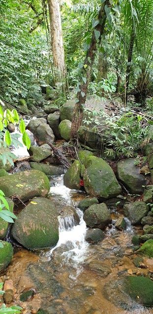 Jardin botanique