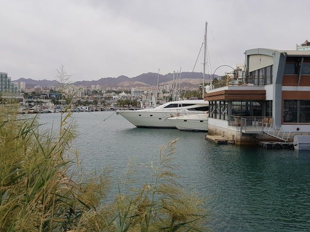 Ofira Park