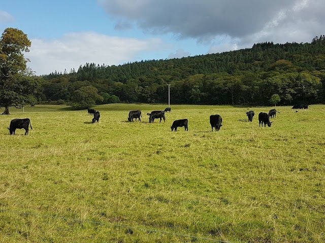 National Park