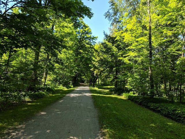 Parc Terre-des-Jeunes