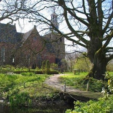 Botanische Tuin Domies Toen