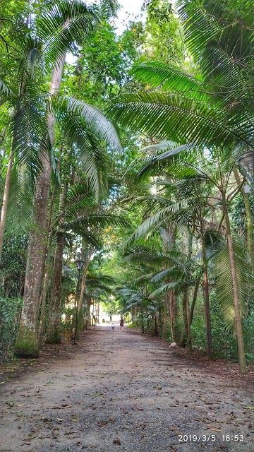 Parque Vicentina Aranha