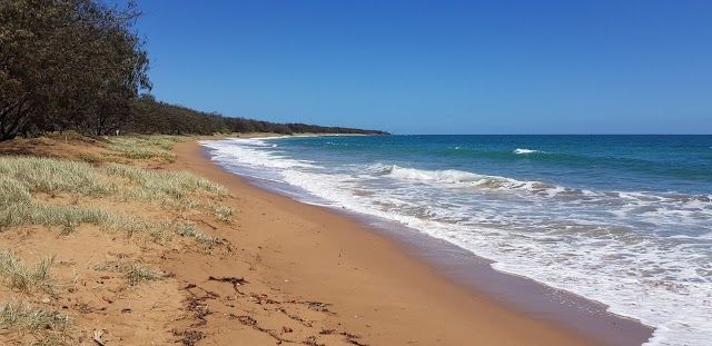 Mon Repos Conservation Park