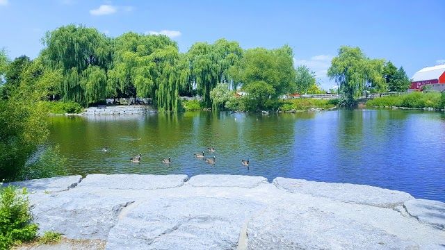 Chinguacousy Park