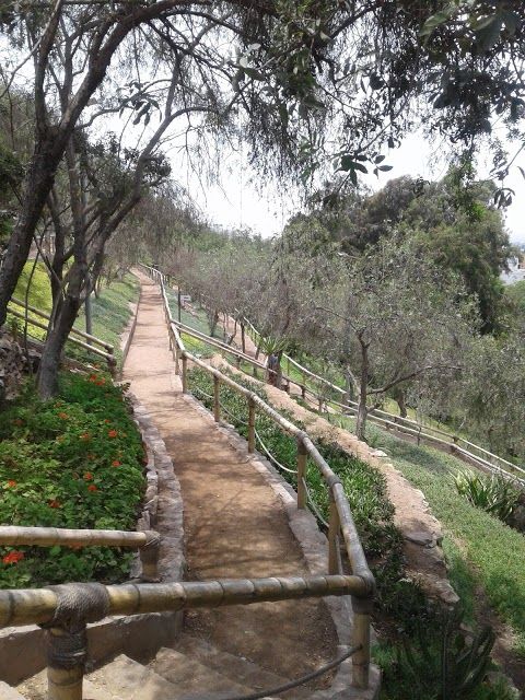 Loma Amarilla Ecological Park