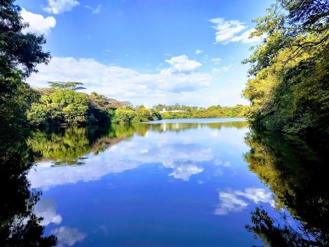 Parque Ecológico Prof. Hermógenes de Freitas Leitão