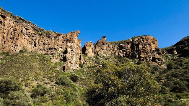 Bandama