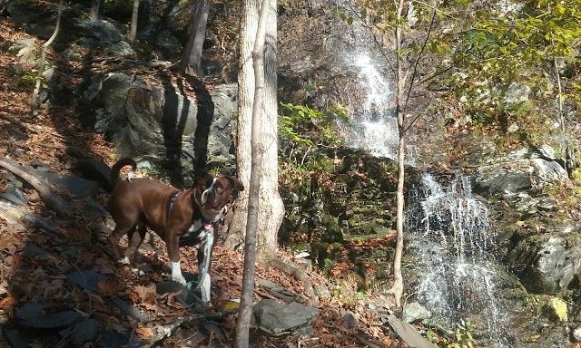 Wantastiquet Mountain Natural Area