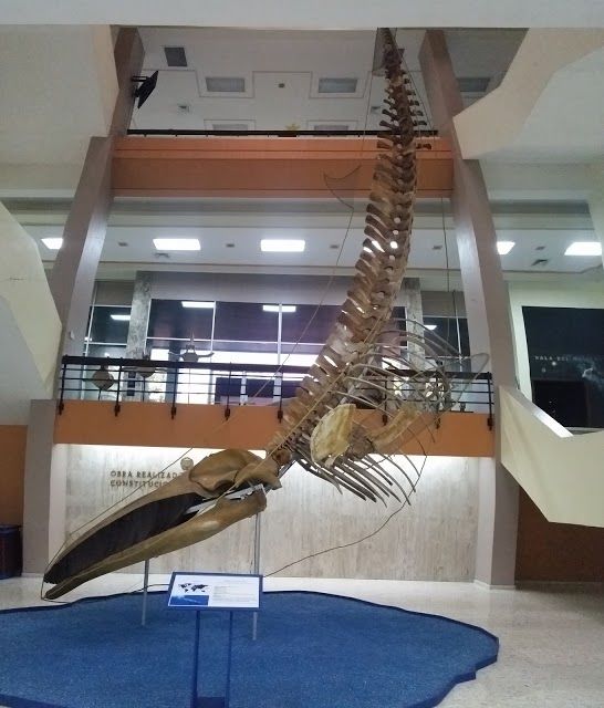 National Museum of Natural History