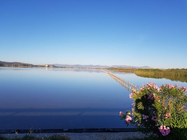 Parco di Molentargius