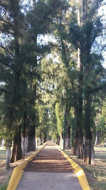 Parque la Calma