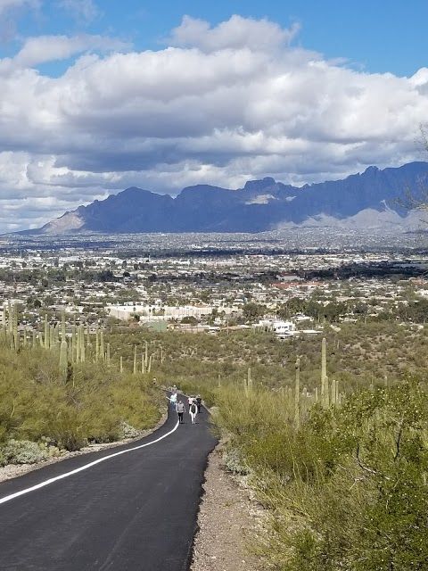 Tumamoc Hill Hiking Trail