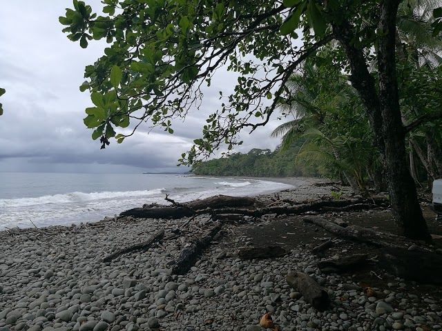 Playa Ballena