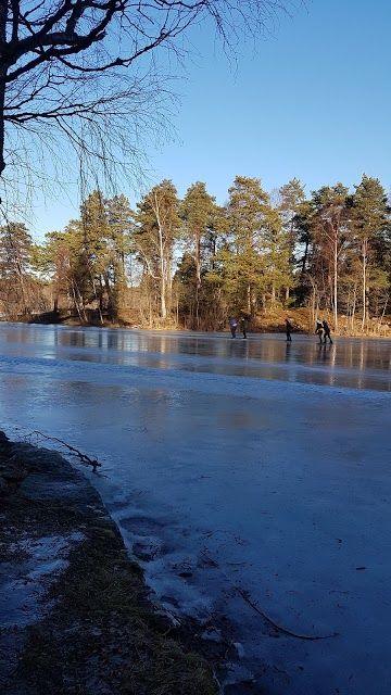 Kottlasjon