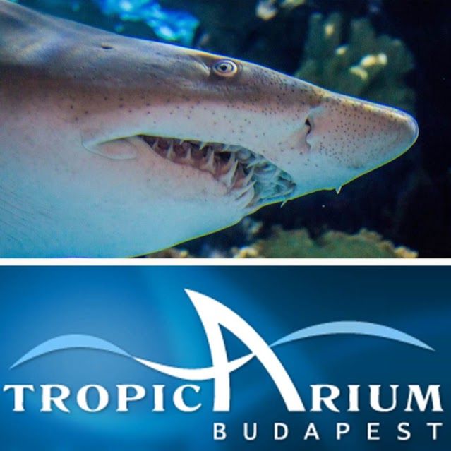 Tropicarium