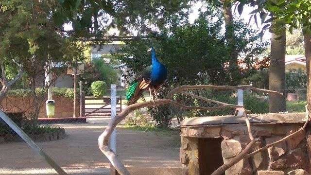Zoológico