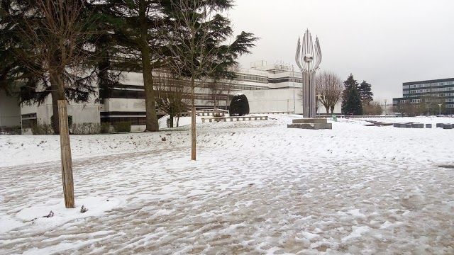 Junior CentraleSupelec