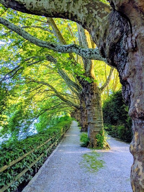 Sportanlage Sihlholzli