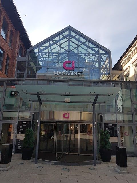 Magasinet