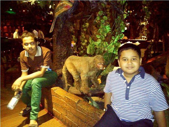 Nawabganj Safari