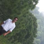 Thali Restaurant and Tiffin Center