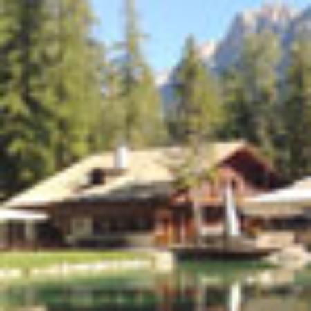 Ayam Presto Ny Nita Kelapa Gading 2