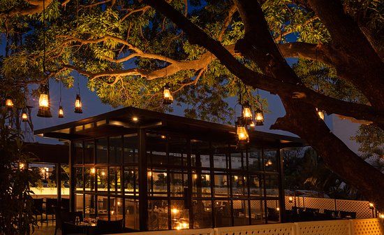 Under the Mango Tree