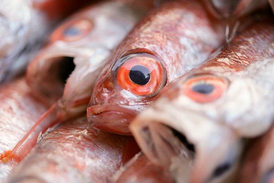 Okesyo Sengyo Kaichuen Honten