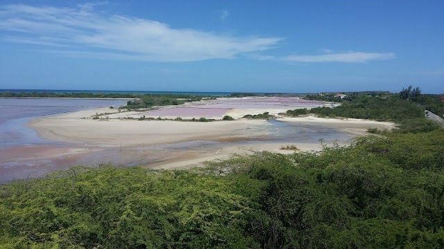 Salt Flats of Cabo Rojo