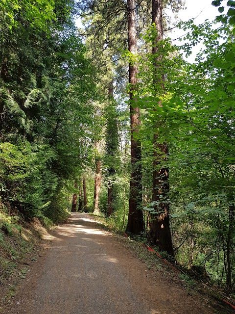 Exotenwald