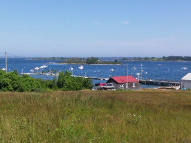 The Niblic & Gallery