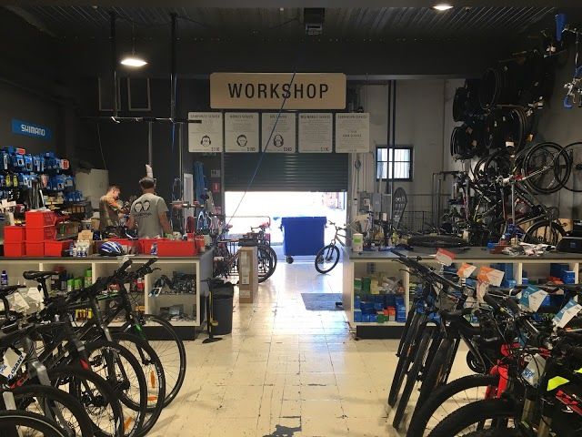 Two Monkeys Cycling Alexandria