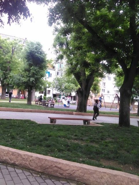 Boris's garden