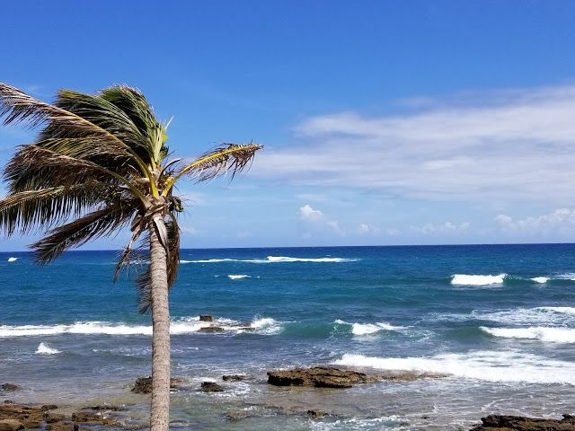 Paseo Tablado de Pinones