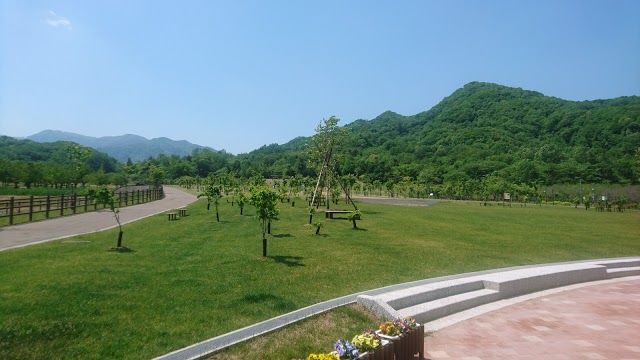 Koganeyu Sakura No Mori Park