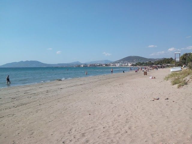 Dream Coast Night Club