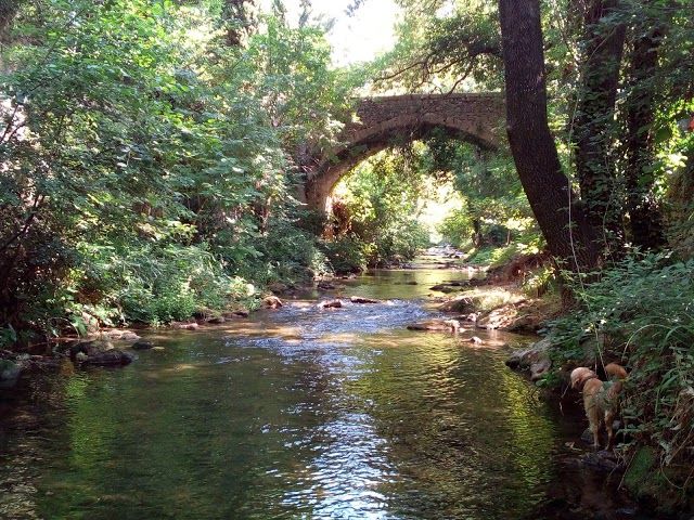 Parc Peiresc