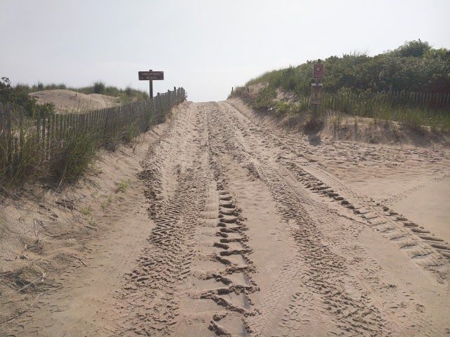 Gordons Pond State Park Area