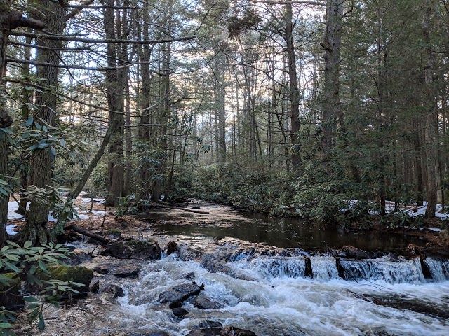 Switchback Railroad Trail Entrance