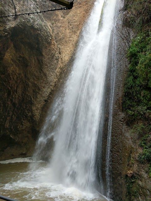 Nahal Ayun Nature Reserve