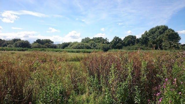 Hackney Marshes Local Nature Reserve